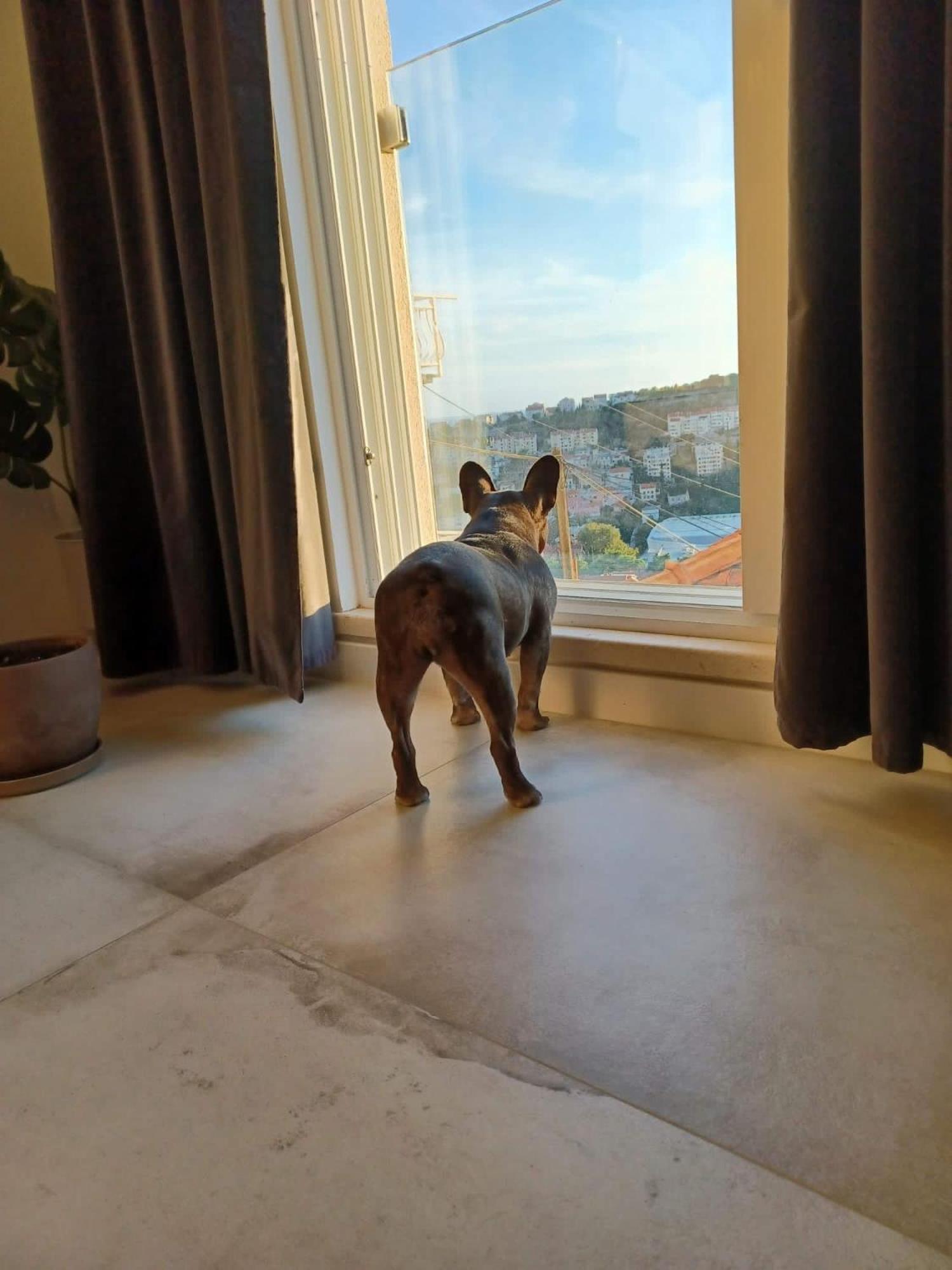 Apartment Eni Dubrovnik Luaran gambar
